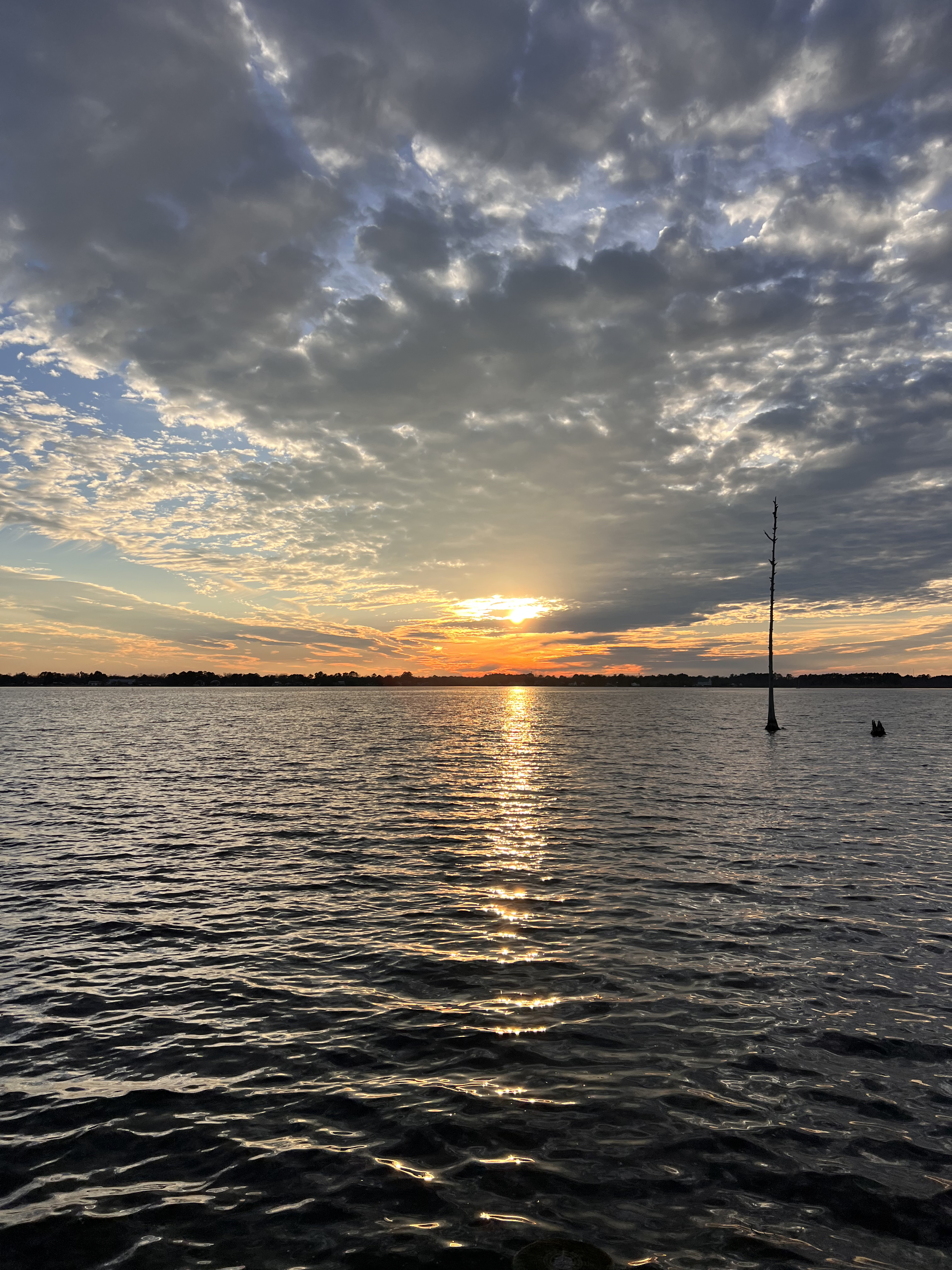 ./2023/01 - New Bern/IMG_6103.jpg